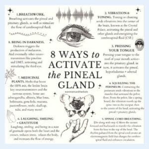 pineal gland