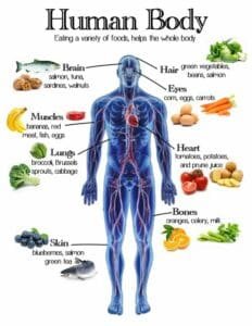 Healthy Eating Guide 